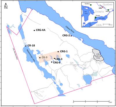 Spatial Autocorrelation, Source Water and the Distribution of Total and Viable Microbial Abundances within a Crystalline Formation to a Depth of 800 m